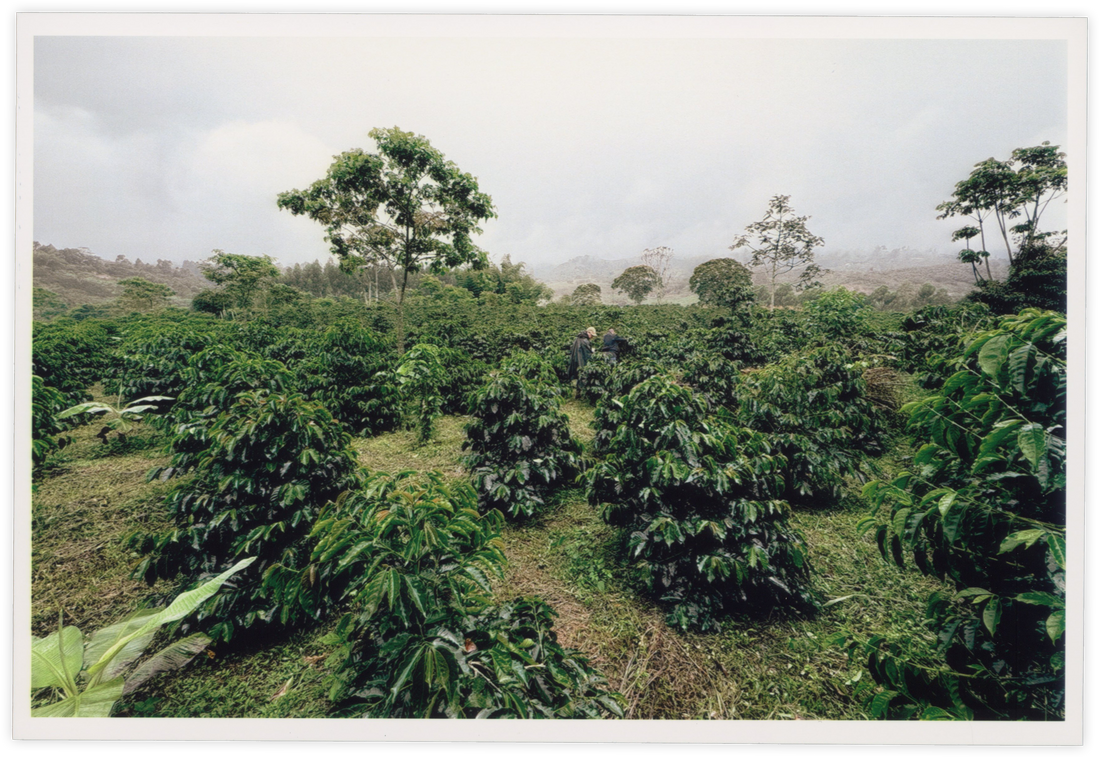 Field Notes #02
