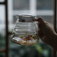 Hario V60 Glass Server