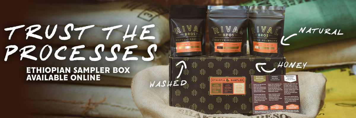 Trust the Processes: Ethiopian Sampler Box with washed, honey and natural coffees, available online