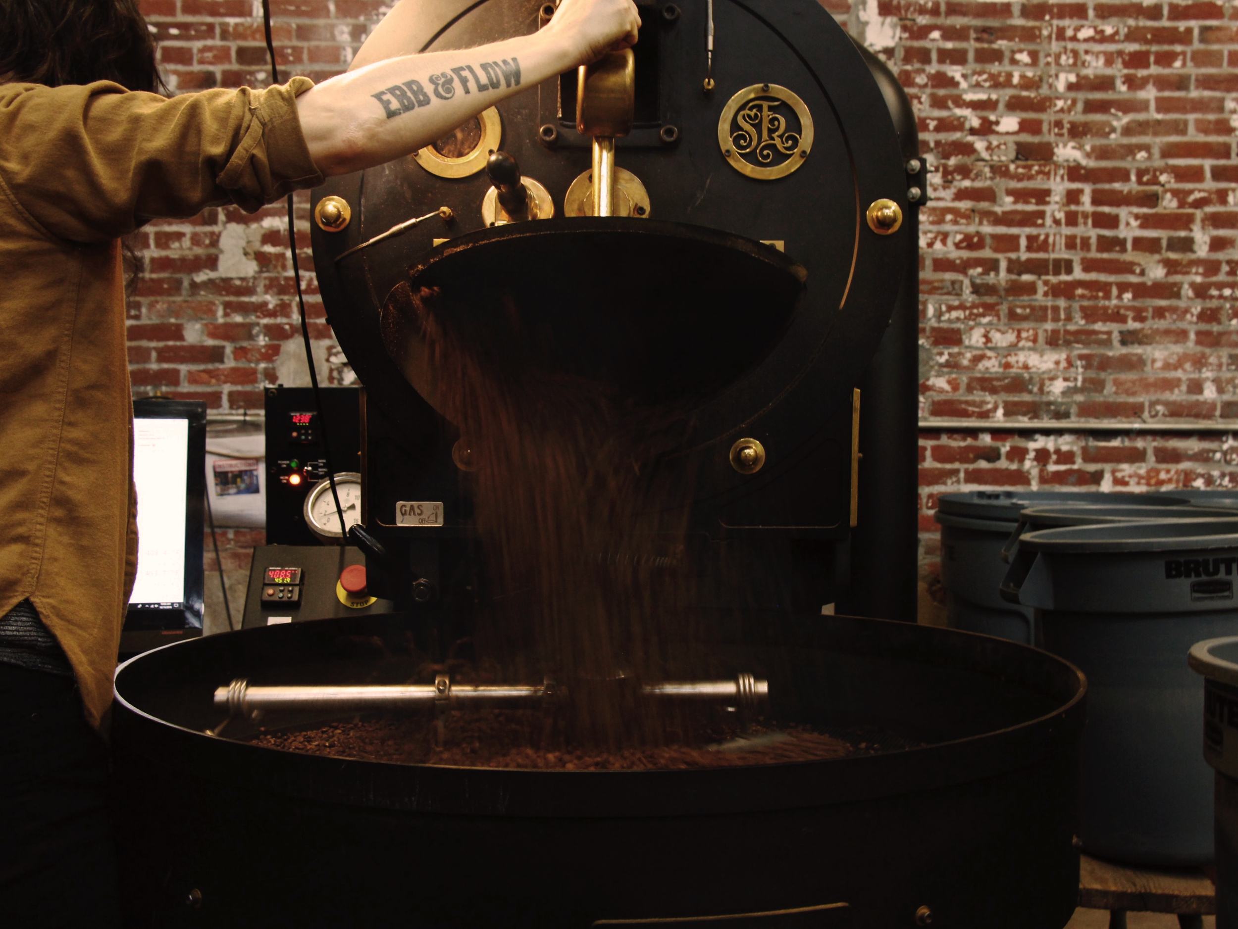 coffee beans pouring out of roaster